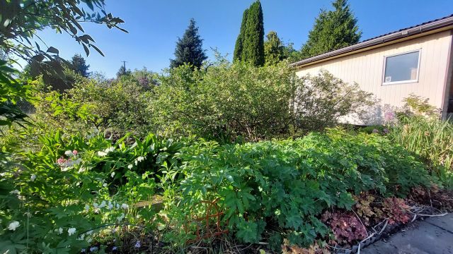 Działka rod Gdańsk. Zdjęcie 1