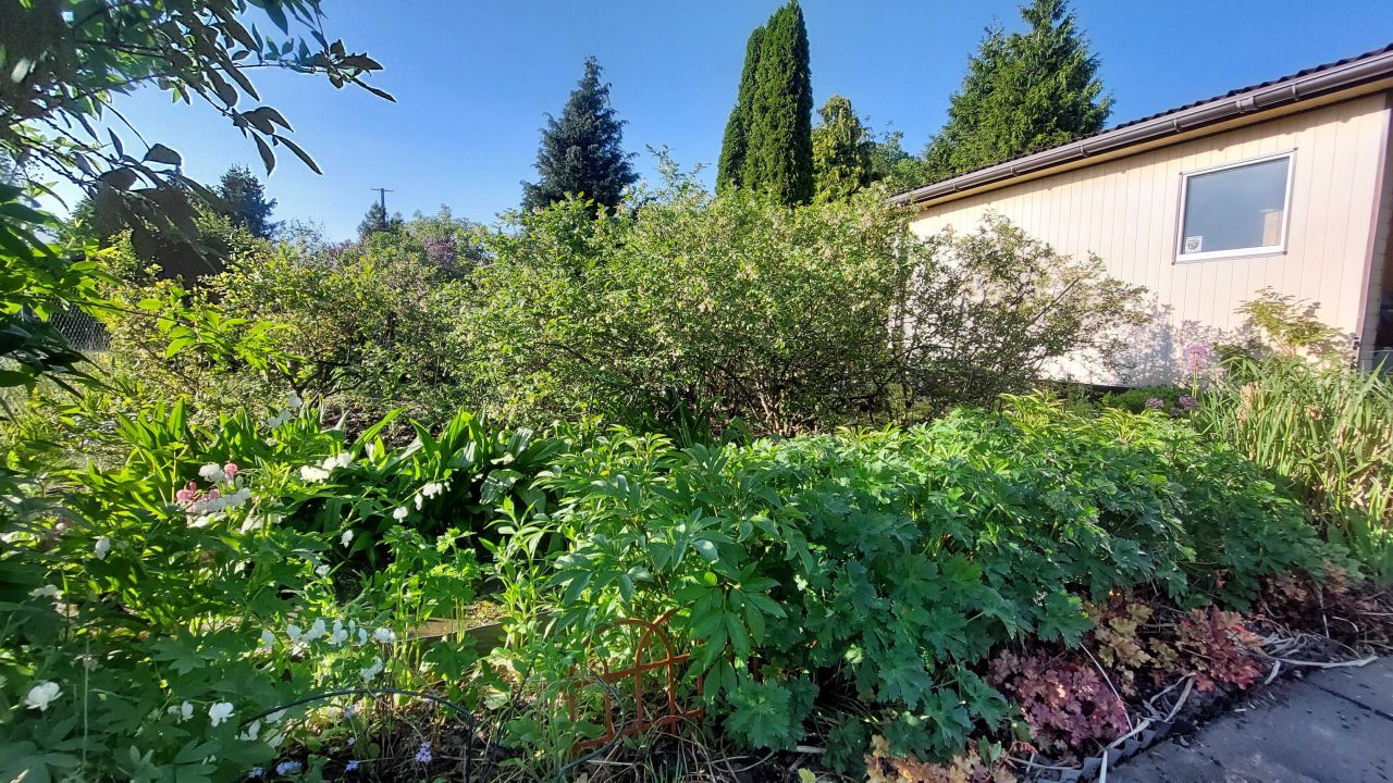 Działka rod Gdańsk