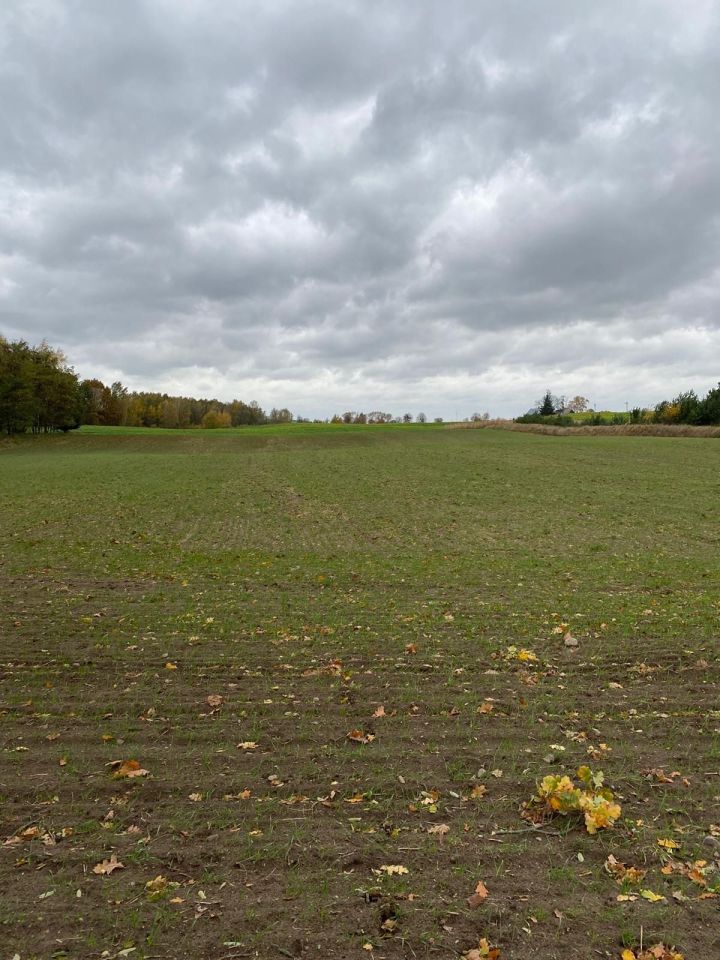 Działka rolna Jaworze. Zdjęcie 2