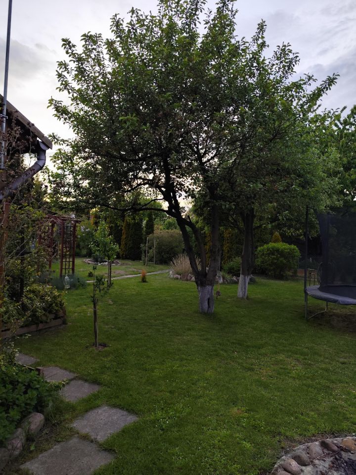 Działka rod Płock Winiary, ul. Traktowa. Zdjęcie 10