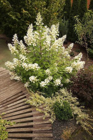 dom wolnostojący, 5 pokoi Promnice, ul. Brzozowa. Zdjęcie 12