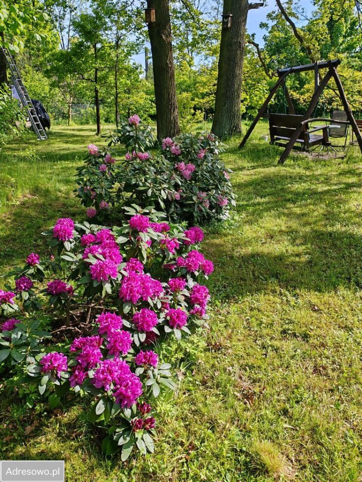 dom wolnostojący, 5 pokoi Parszów. Zdjęcie 13