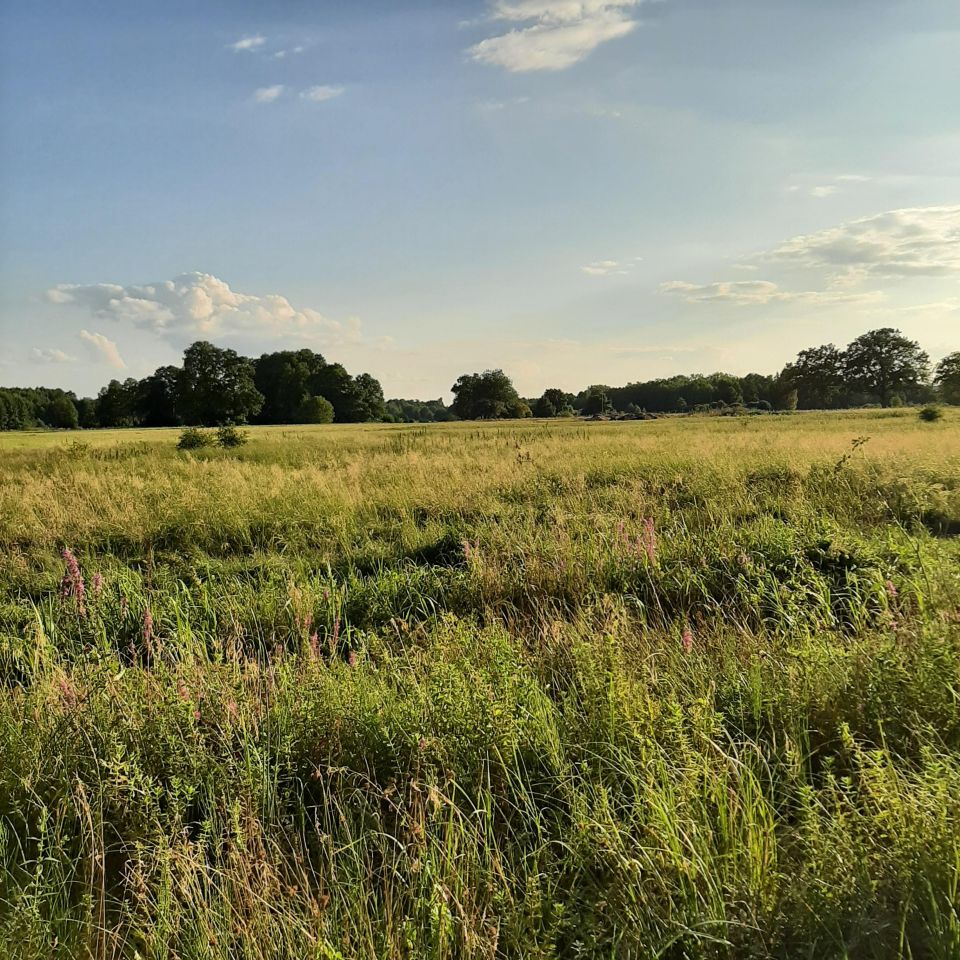 Działka rekreacyjna Dzierżenin. Zdjęcie 6