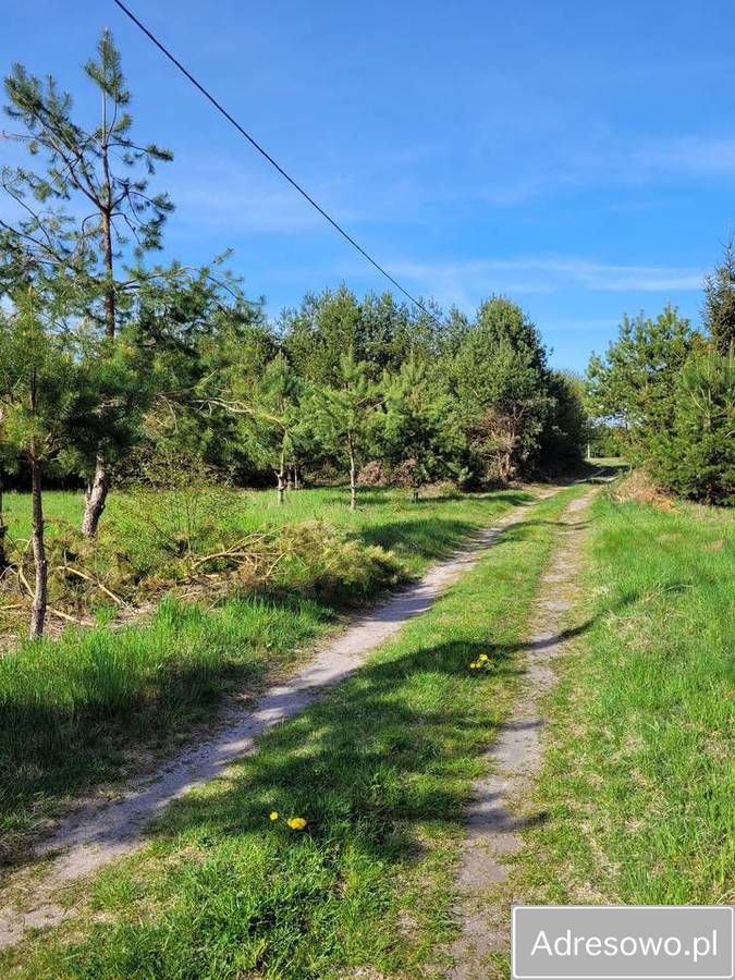 Działka rekreacyjna Mącice. Zdjęcie 10