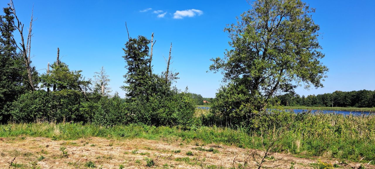 Działka rolna Cerkiewnik. Zdjęcie 8