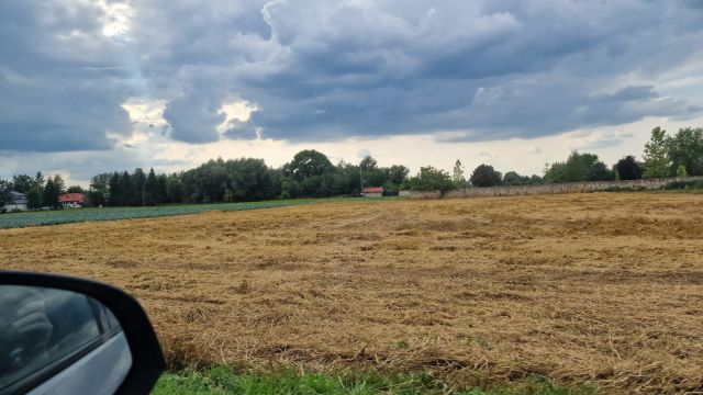 Działka siedliskowa Kępa Okrzewska. Zdjęcie 1