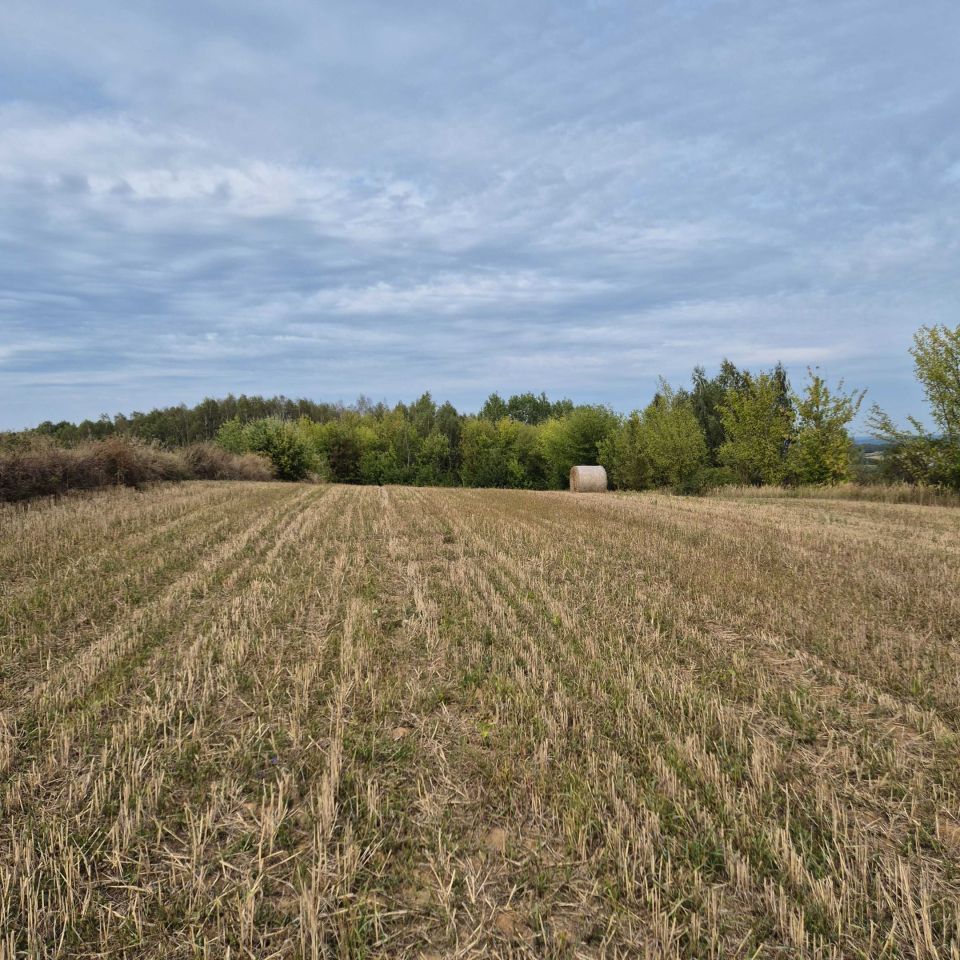 Działka rolna Szwarszowice. Zdjęcie 7