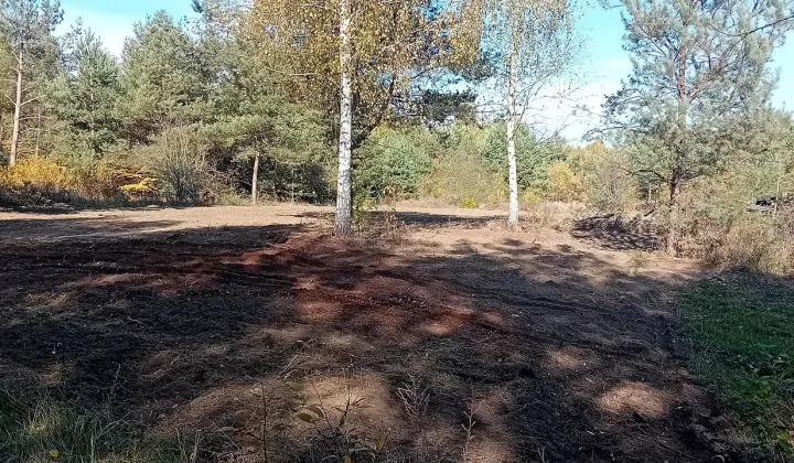 Działka budowlana Słubica Dobra, ul. Graniczna