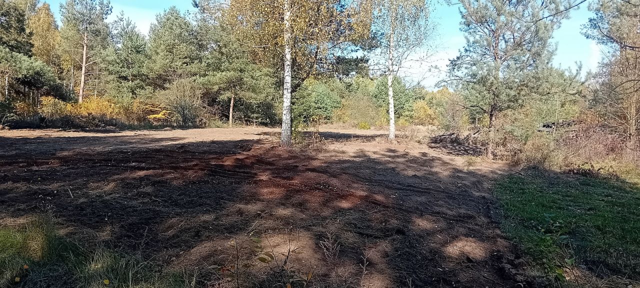 Działka budowlana Słubica Dobra, ul. Graniczna