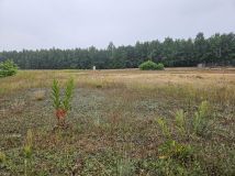 Działka budowlana Choinek. Zdjęcie 4