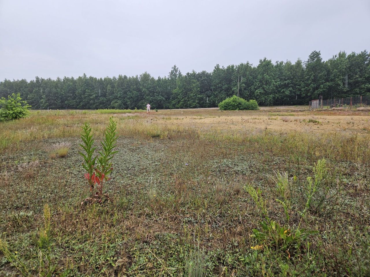 Działka budowlana Choinek. Zdjęcie 5