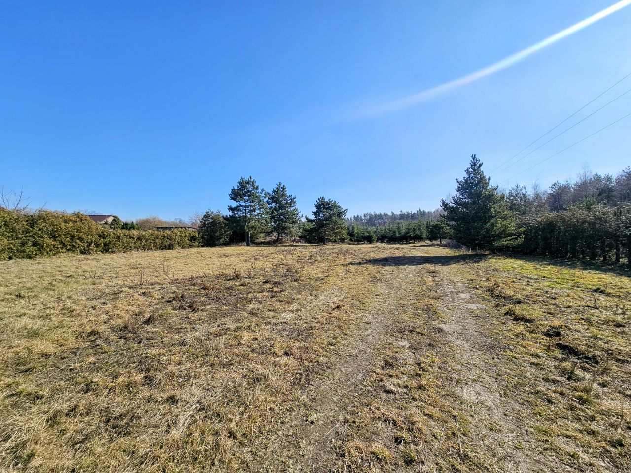 Działka budowlana Osuchów, ul. Leśna. Zdjęcie 6