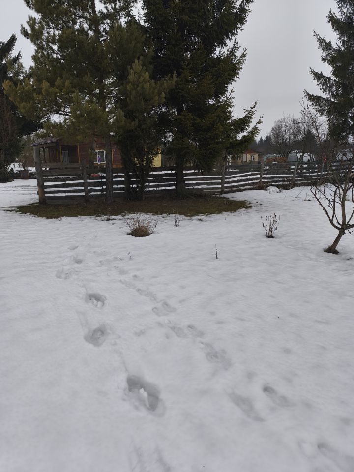 Działka rekreacyjna Chełm Wygon, ul. Bursztynowa. Zdjęcie 6