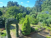 Działka rod Gdańsk Morena, ul. Wołkowyska. Zdjęcie 4