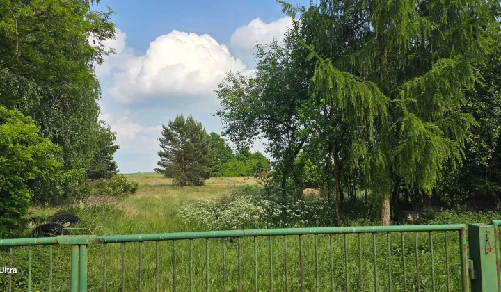 Działka rolna Borki Prusinowskie
