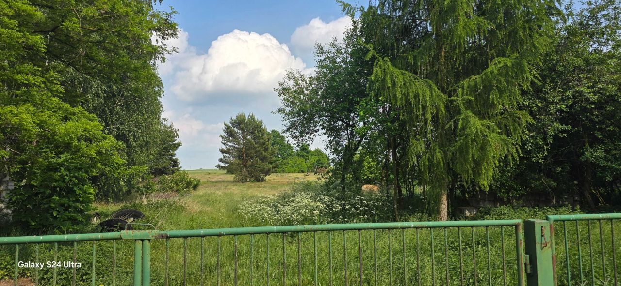 Działka rolna Borki Prusinowskie. Zdjęcie 1
