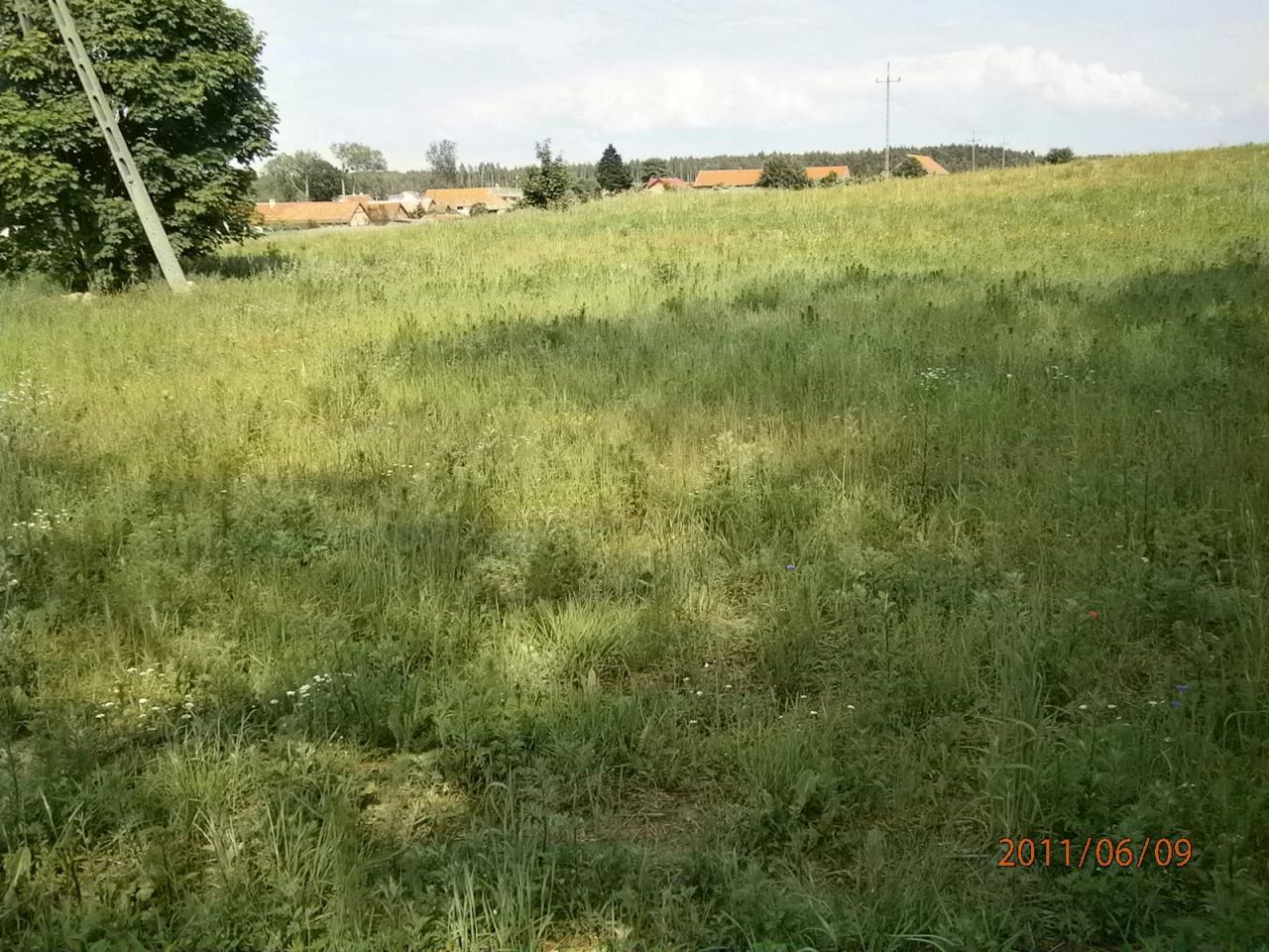 Działka budowlana Pawłowo. Zdjęcie 2