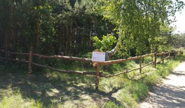 Działka budowlana Adamów-Wieś, ul. Szeroka 65