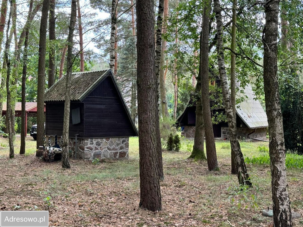 Działka rekreacyjna Borkowo. Zdjęcie 6