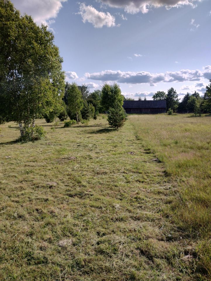 Działka rolno-budowlana Strachówka, ul. Nowa. Zdjęcie 3