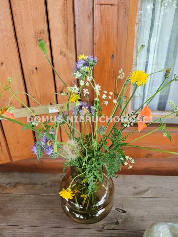 Działka rolna Królewo. Zdjęcie 16