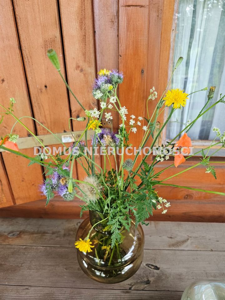 Działka rolna Królewo. Zdjęcie 16