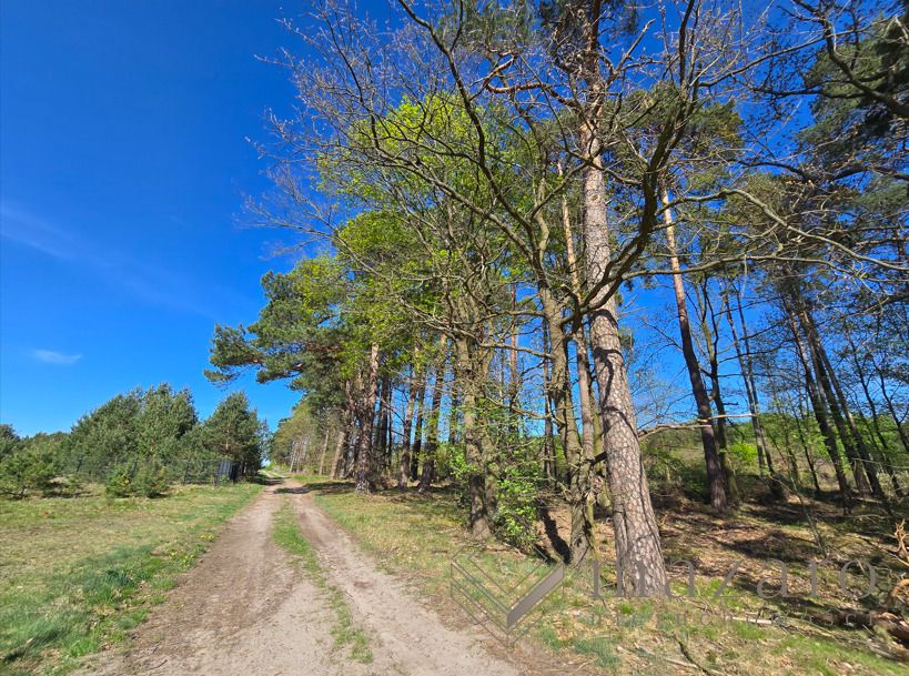 Działka budowlana Stronno. Zdjęcie 6