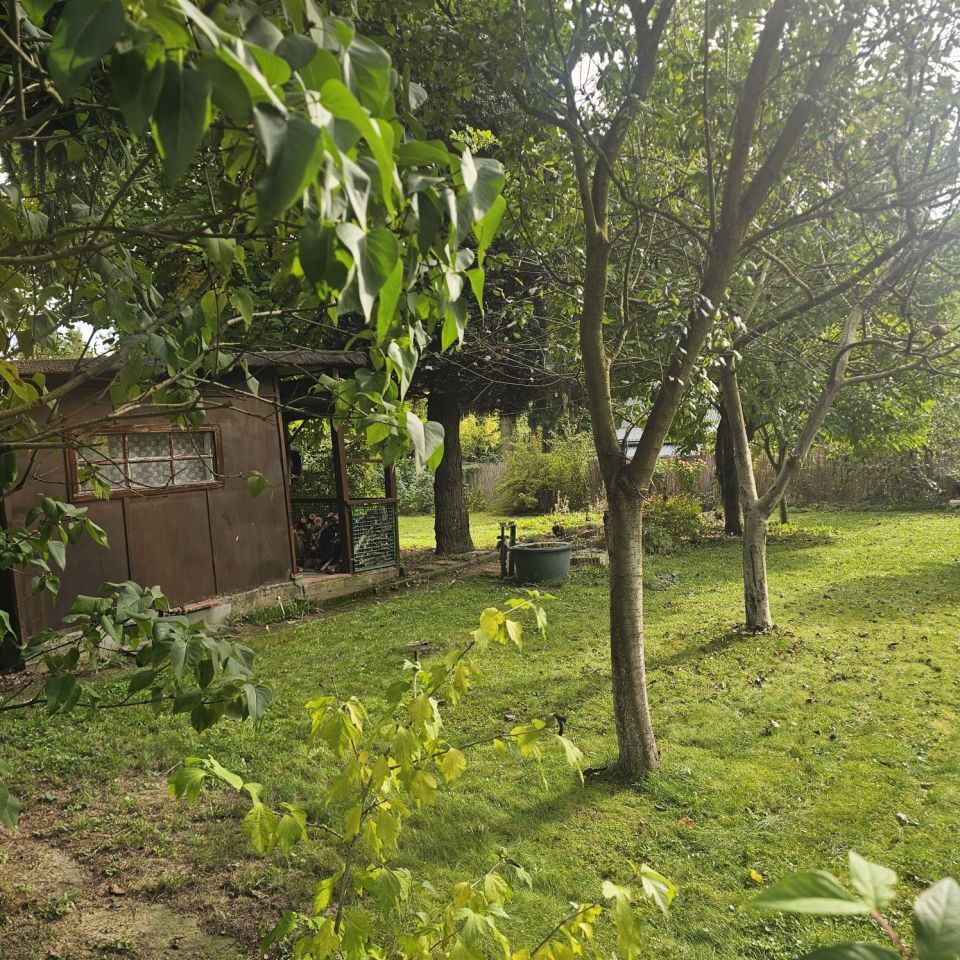 Działka rod Kraków Podgórze, ul. Golikówka. Zdjęcie 8