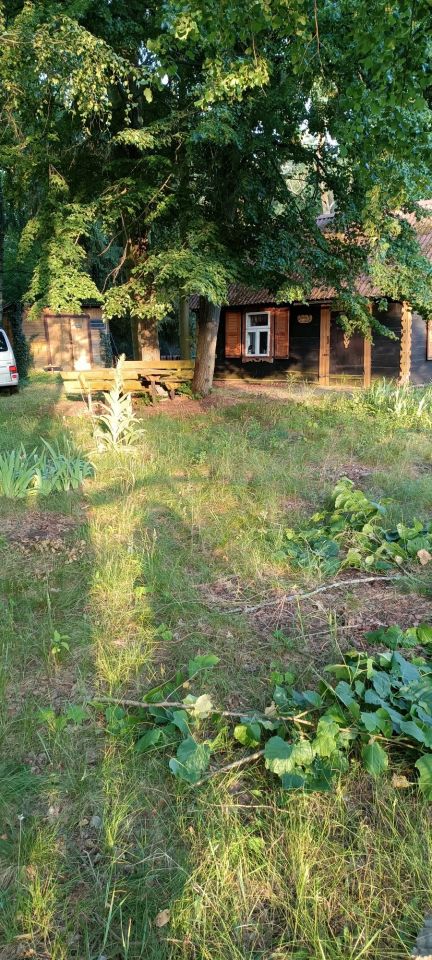 Działka rekreacyjna Zambski Kościelne. Zdjęcie 7