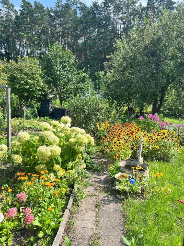 Działka rod Zielona Góra. Zdjęcie 4