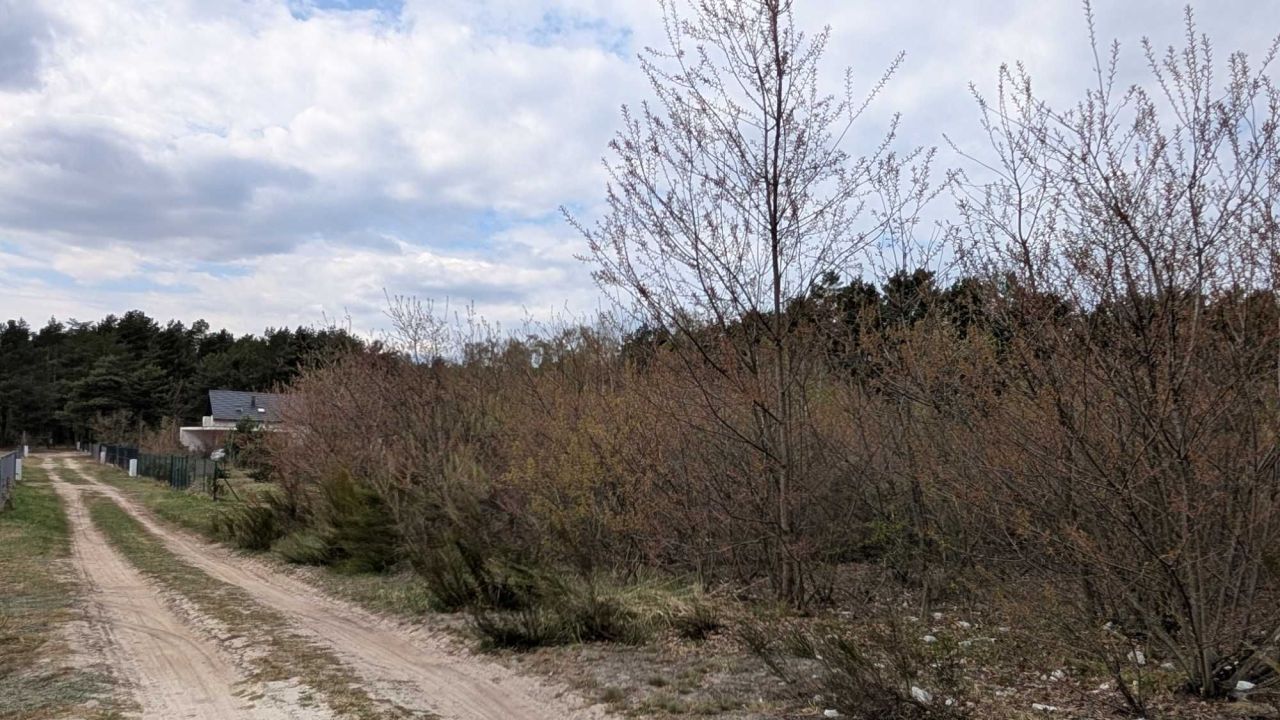 Działka rolna Nowe Miasto. Zdjęcie 6