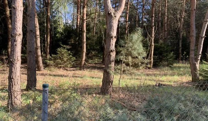 Działka budowlana Chrustne
