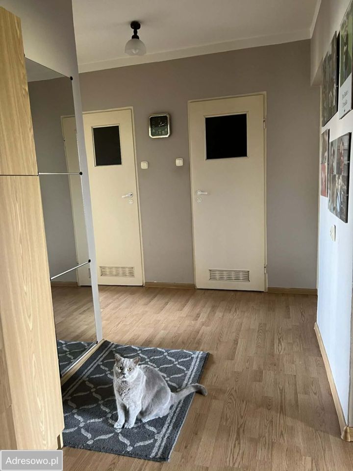 Mieszkanie 3-pokojowe Tarnów, ul. Tadeusza Romanowicza. Zdjęcie 6