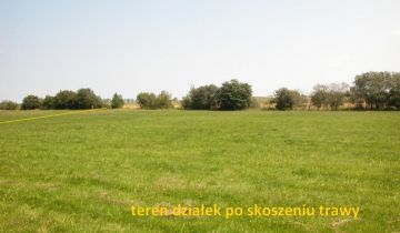 Działka rolna Sarbia. Zdjęcie 1