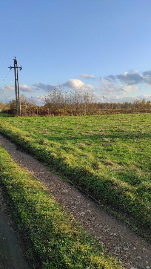 Działka inwestycyjna Radzymin Centrum, ul. Wołomińska. Zdjęcie 13