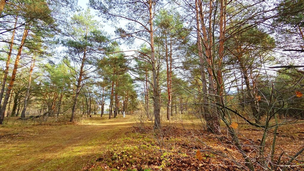 Działka budowlana Łomianki. Zdjęcie 3