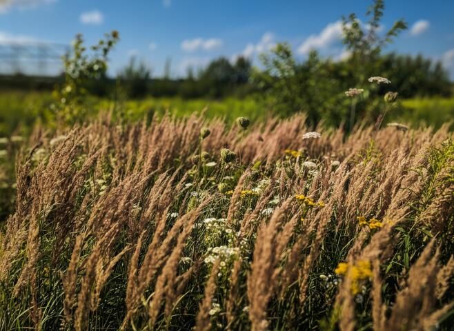 Działka budowlana Siedliska. Zdjęcie 3