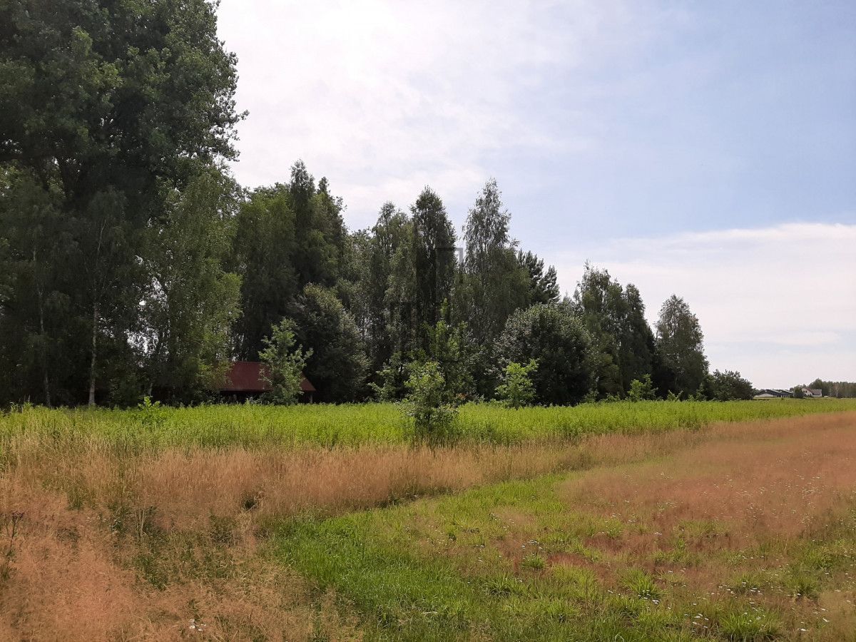 Działka budowlana Celinów, ul. Tymiankowa