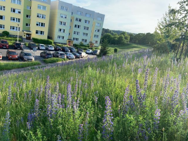 Mieszkanie 3-pokojowe Gdańsk Morena, ul. Romana Wyrobka. Zdjęcie 1
