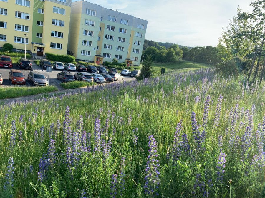 Mieszkanie 3-pokojowe Gdańsk Morena, ul. Romana Wyrobka. Zdjęcie 1