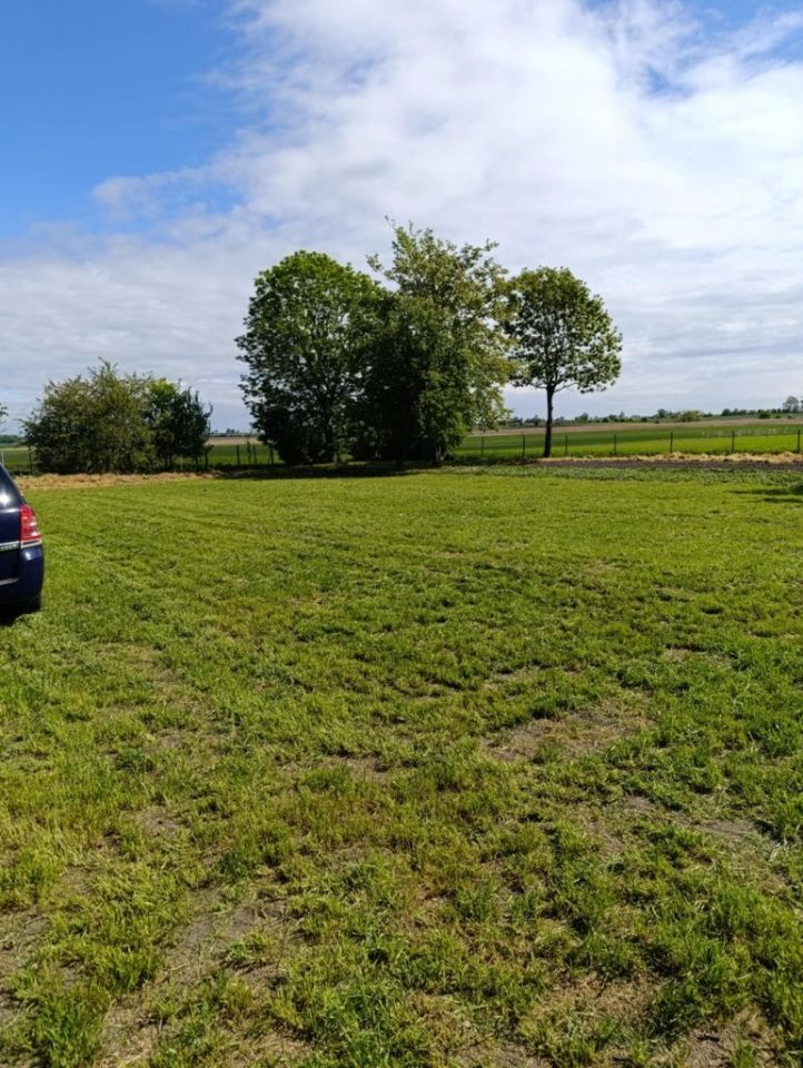 Działka rolno-budowlana Murzynko. Zdjęcie 7