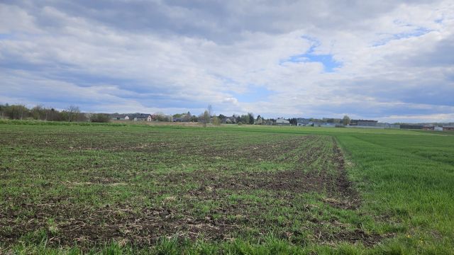 Działka rolna Dąbrowa. Zdjęcie 1