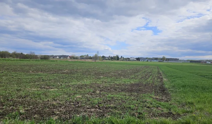 Działka rolna Dąbrowa