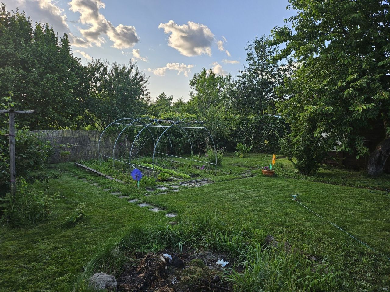 Działka rod Wałcz Centrum, ul. Ciasna. Zdjęcie 8