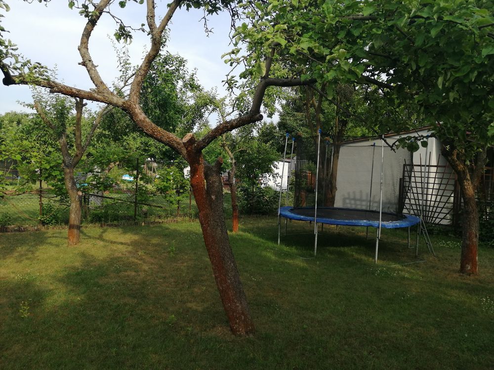 Działka rod Leszno. Zdjęcie 6