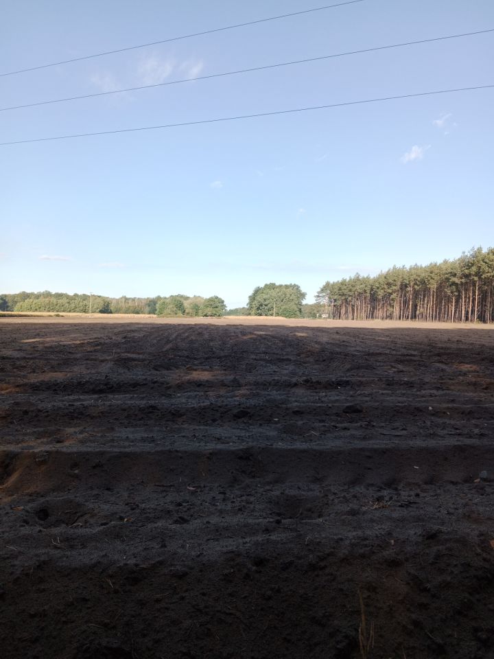 Działka rolna Nowy Kozłów Pierwszy. Zdjęcie 4