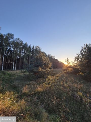 Działka budowlana Niedoradz. Zdjęcie 1