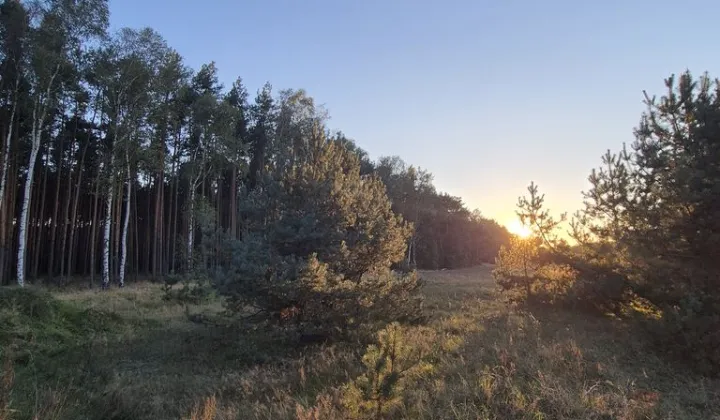 Działka budowlana Niedoradz