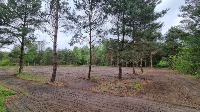 Działka budowlana Krzaki Czaplinkowskie, ul. Wrzosowa. Zdjęcie 1