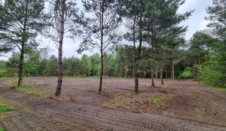 Działka budowlana Krzaki Czaplinkowskie, ul. Wrzosowa